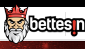 bettesin logo